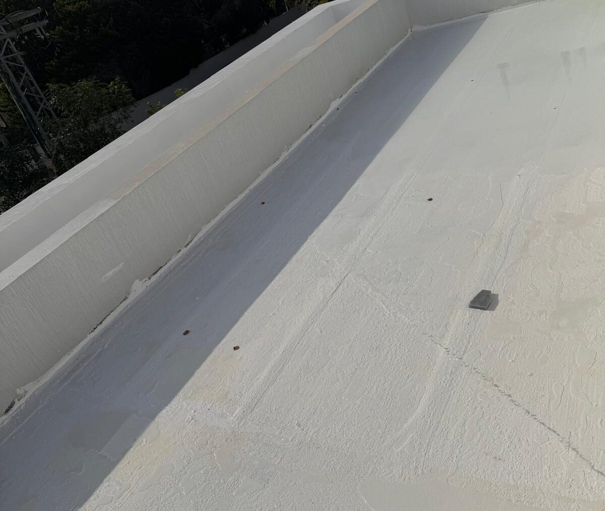 WhatsApp Image 2025-10-27 at 9.09.41 PM